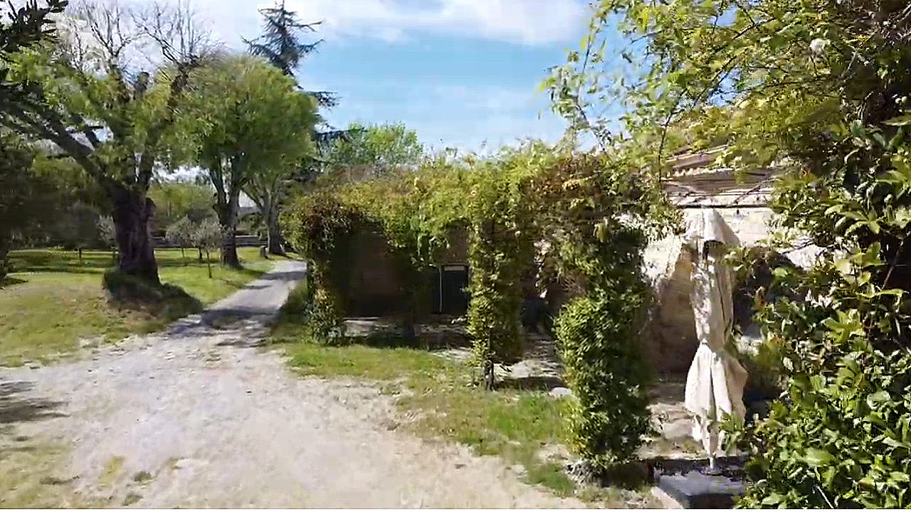 d924782e